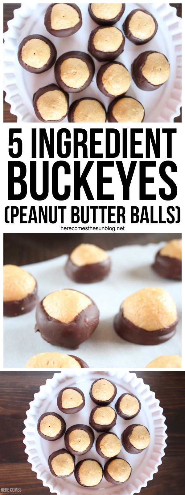 5 Ingredient Peanut Butter Balls