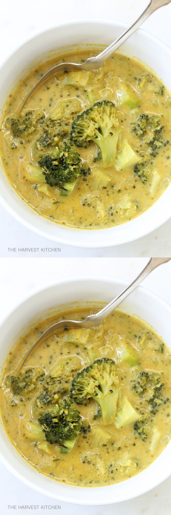 Coconut Curry Broccoli Soup