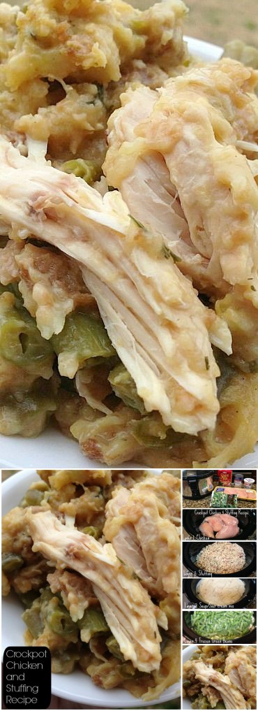 Crockpot Chicken and Stuffing