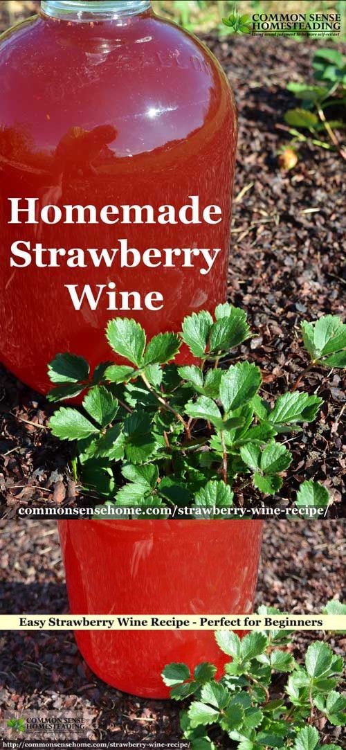 Easy Strawberry Wine