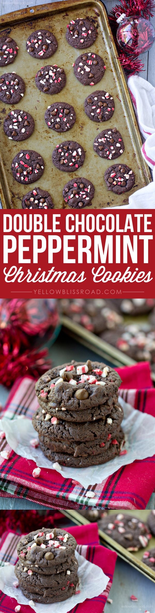5 Ingredient Double Chocolate Peppermint Cookies