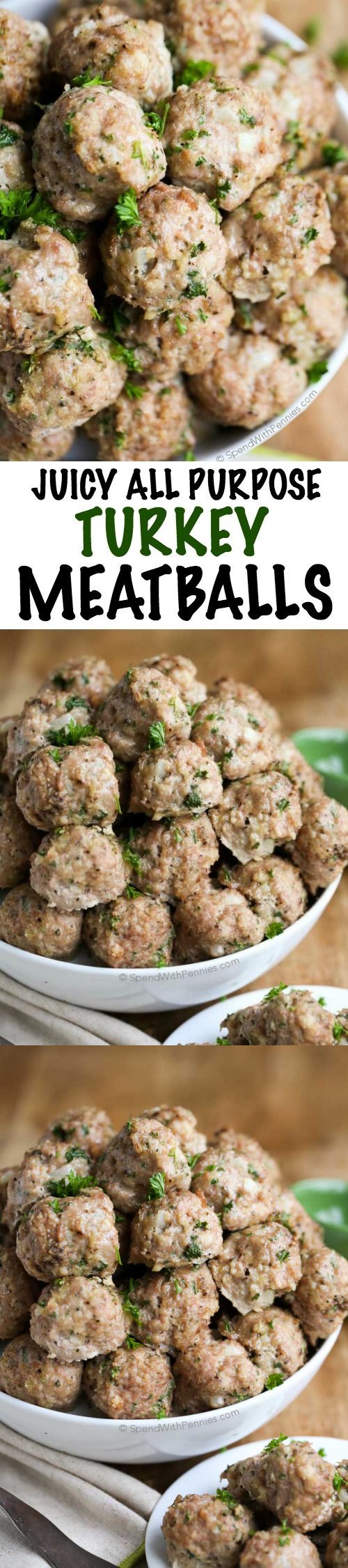 All Purpose Turkey Meatball