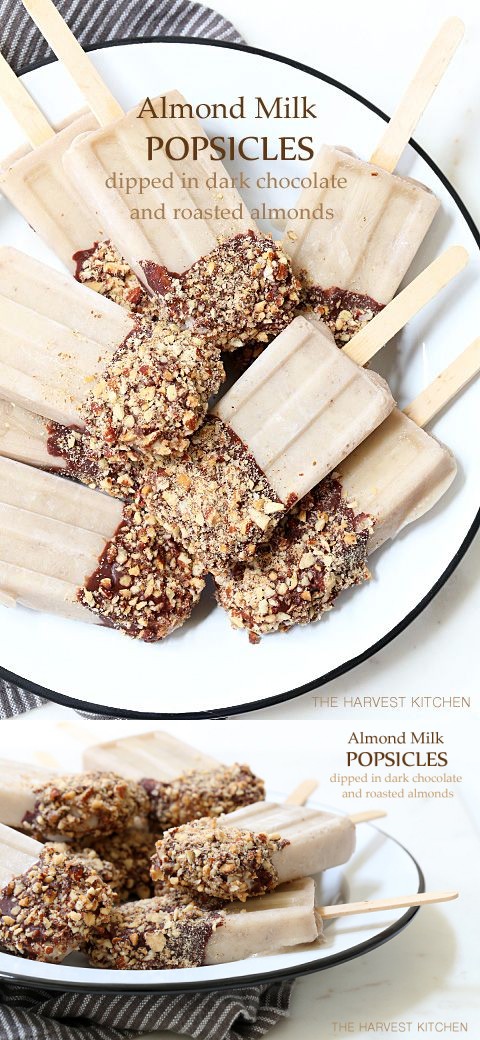 Almond Milk Popsicles