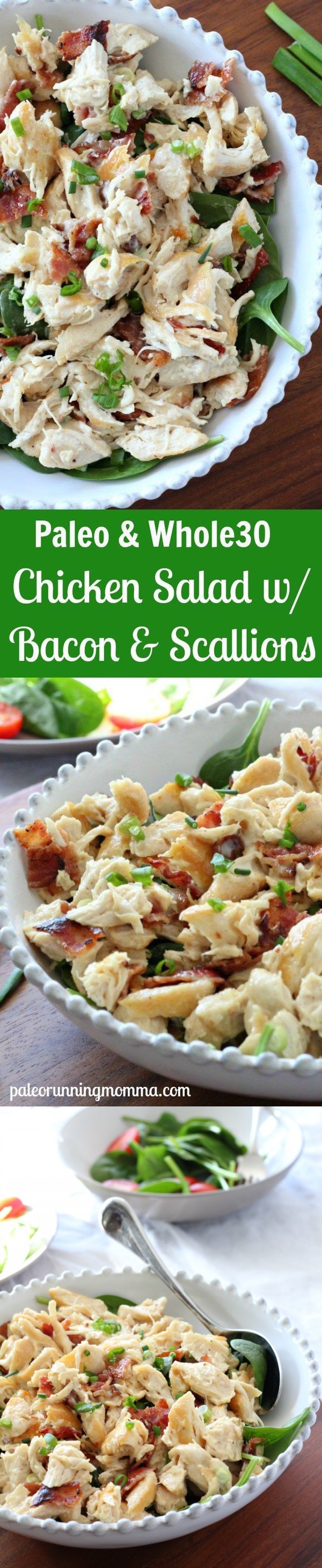 Bacon Scallion Chicken Salad