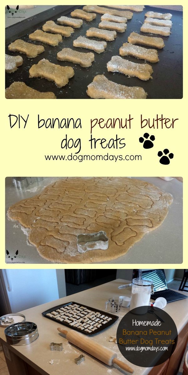 Banana Peanut Butter Treats