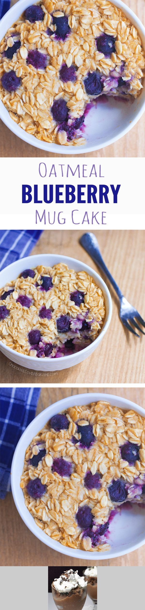 Blueberry Baked Oatmeal Mug Cake