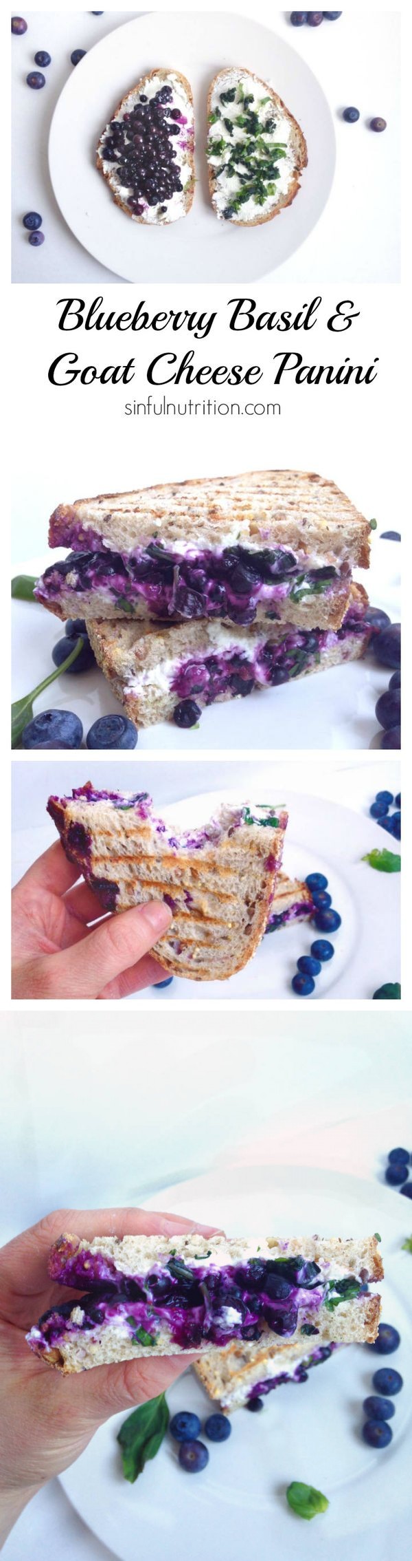 Blueberry Basil & Goat Cheese Panini Sandwich