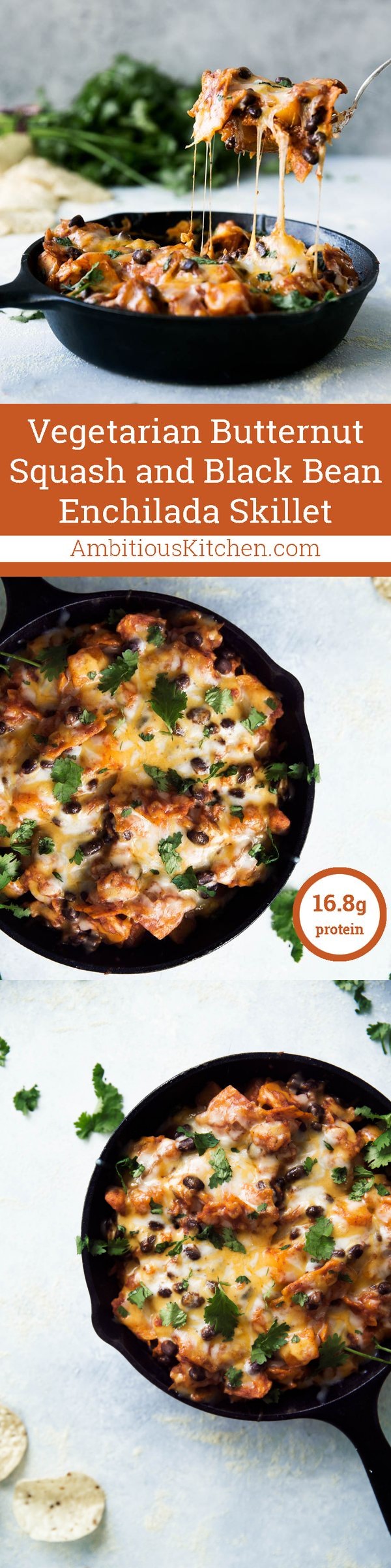 Butternut Squash and Black Bean Enchilada Skillet