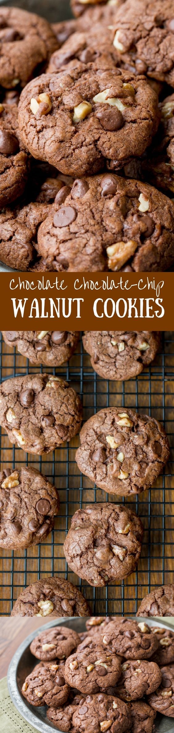 Chocolate Chocolate-Chip Walnut Cookies