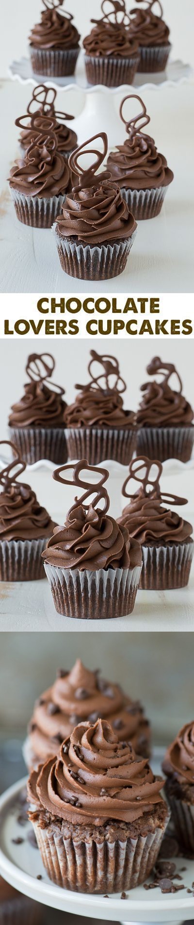 Chocolate Cupcakes