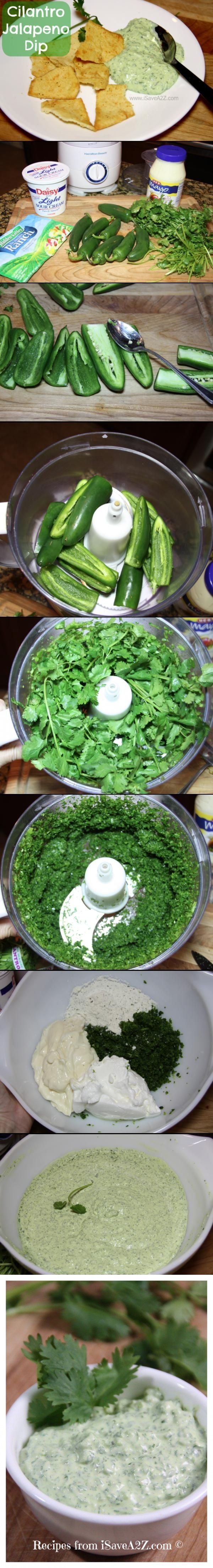 Cilantro Jalapeno Dip