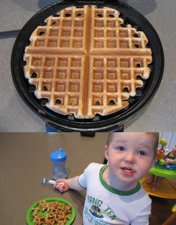 Coconut Flour Waffles