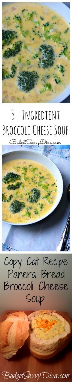 Copy Cat Panera Bread Broccoli Cheese Soup