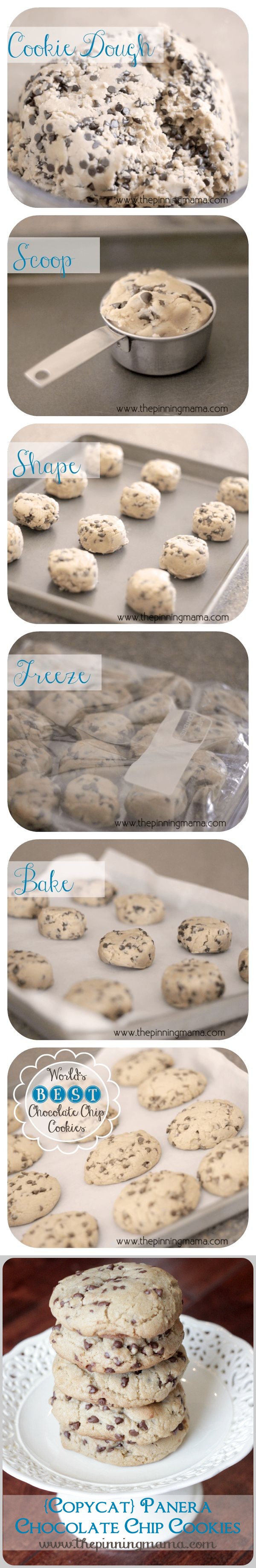 (Copycat Panera Chewy Chocolate Chip Cookies