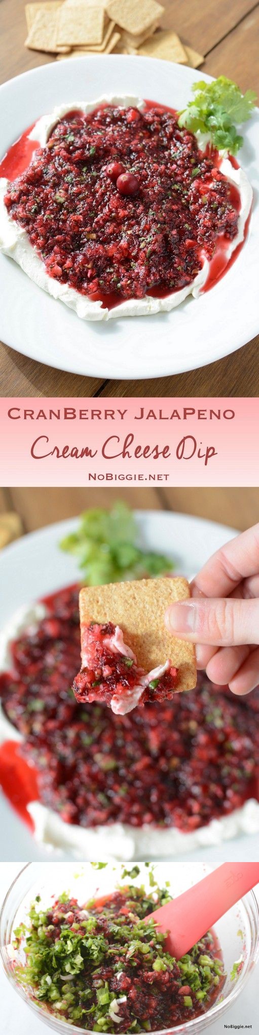Cranberry Jalapeno Salsa Cream Cheese Dip