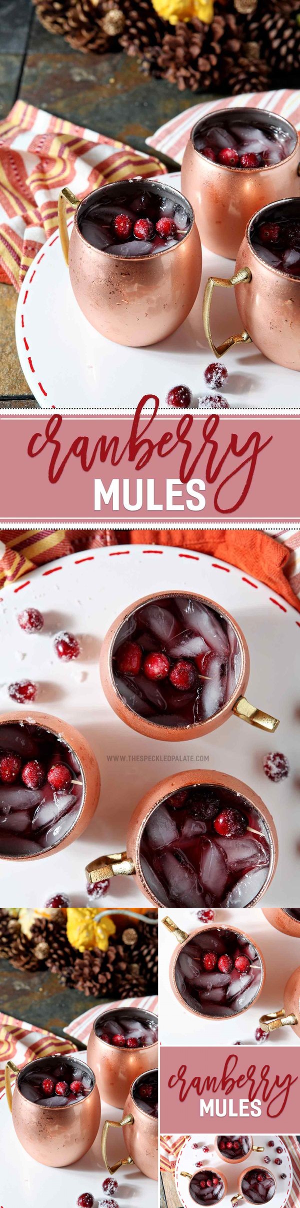 Cranberry Mule