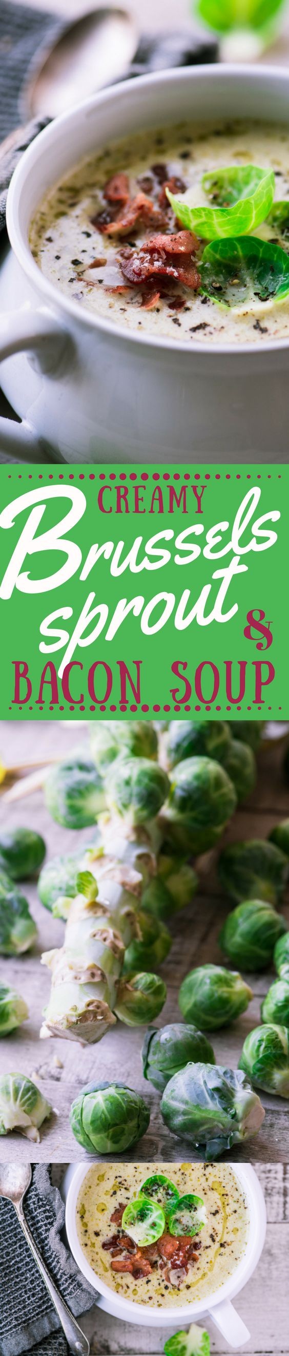 Creamy Brussels Sprout and Bacon Soup
