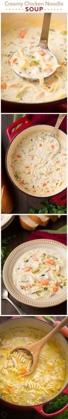 Creamy Chicken Noodle Soup