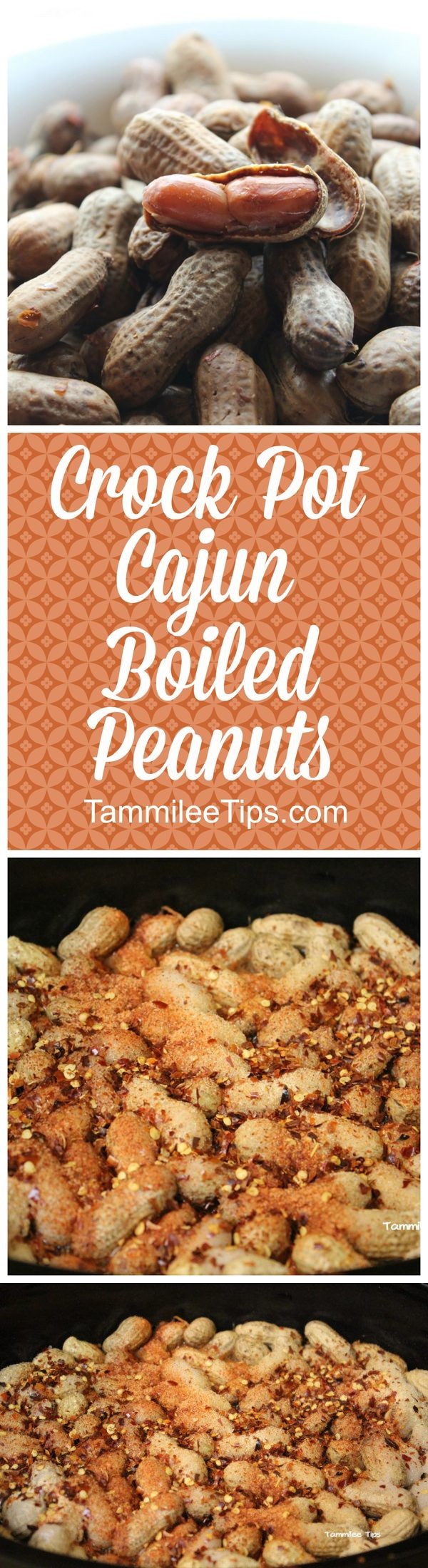 Crock Pot Cajun Boiled Peanuts