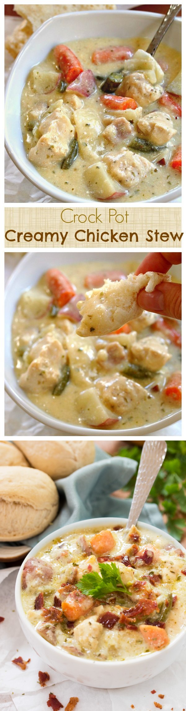 Crock Pot Creamy Chicken Stew