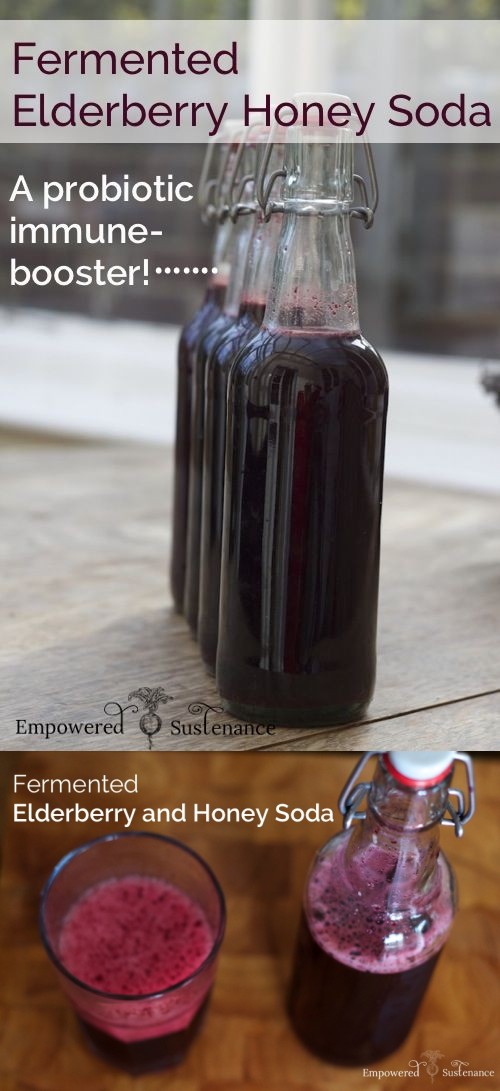 Fermented Elderberry and Honey Soda