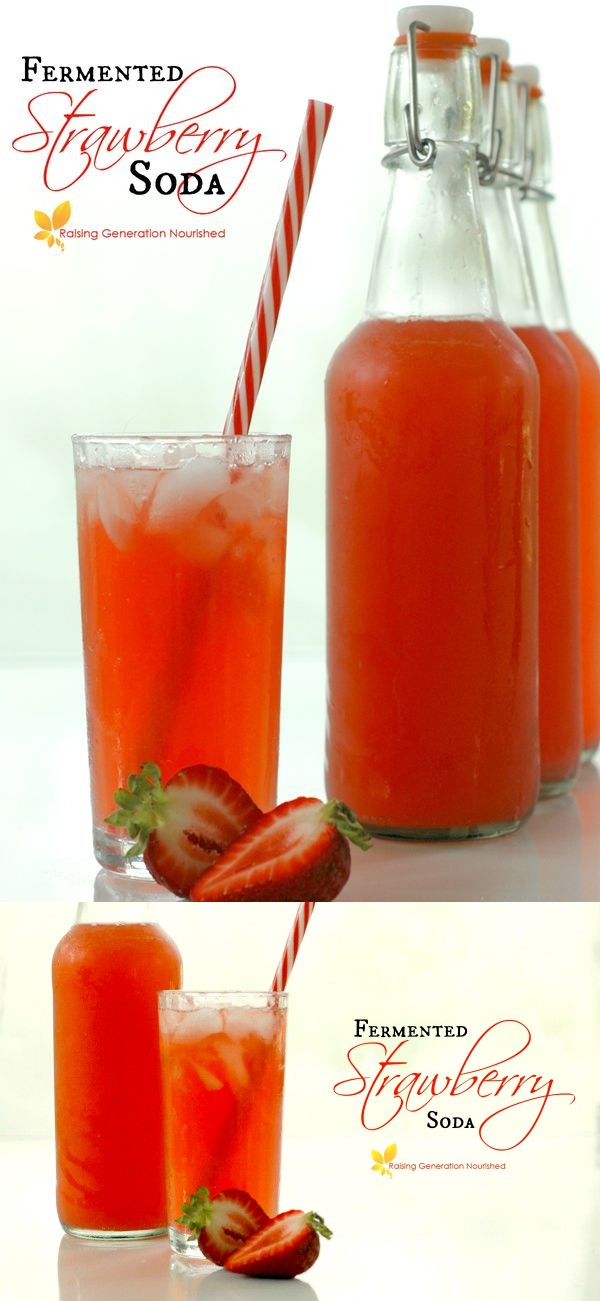 Fermented Strawberry Soda