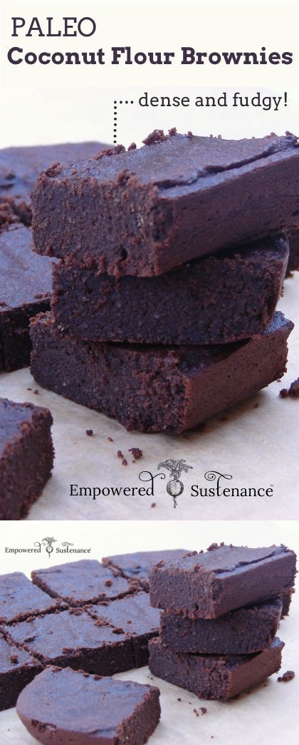 Fudgy Coconut Flour Brownies