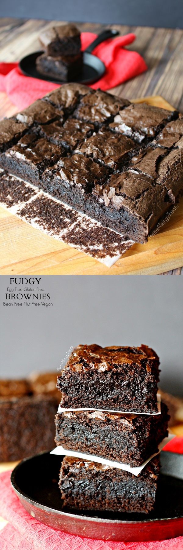 Fudgy Gluten Free Brownies (Egg Free