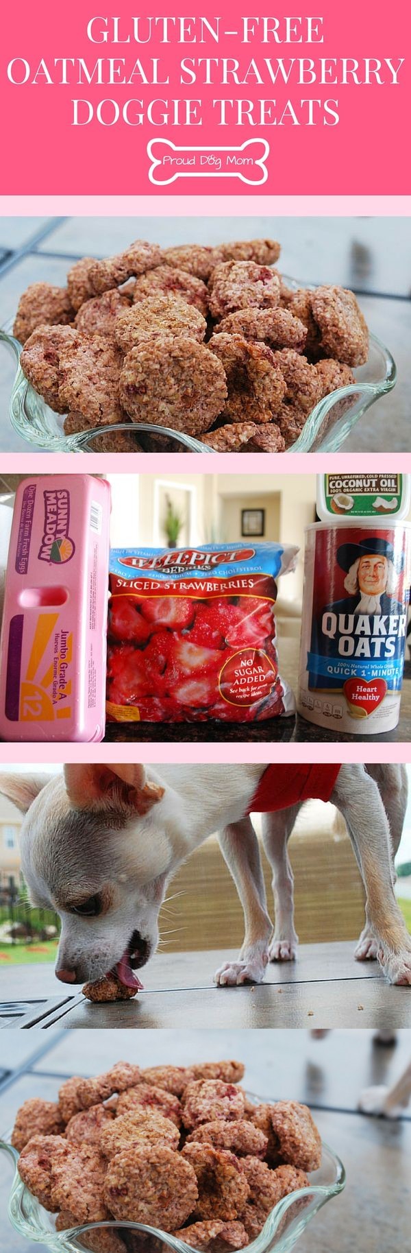 Gluten-Free Oatmeal Strawberry Doggie Bites