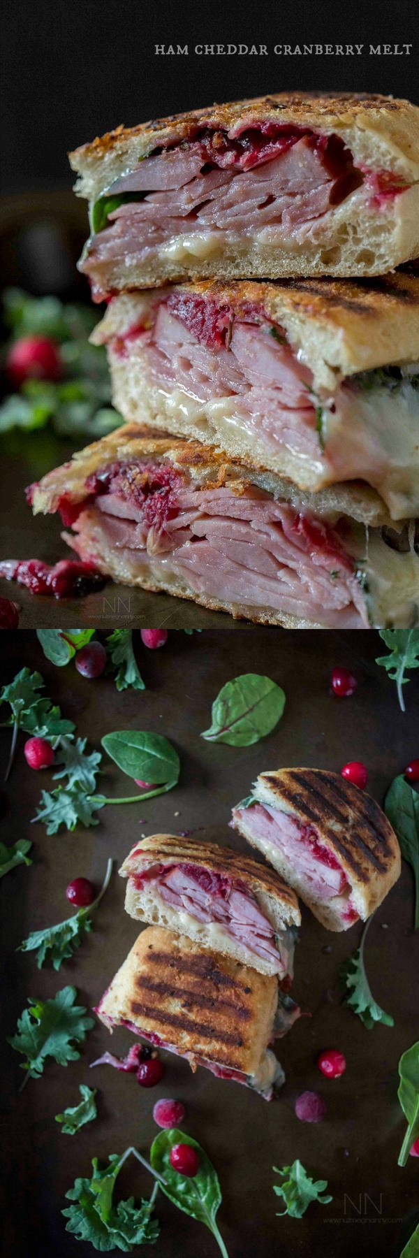 Ham Cheddar Cranberry Melt