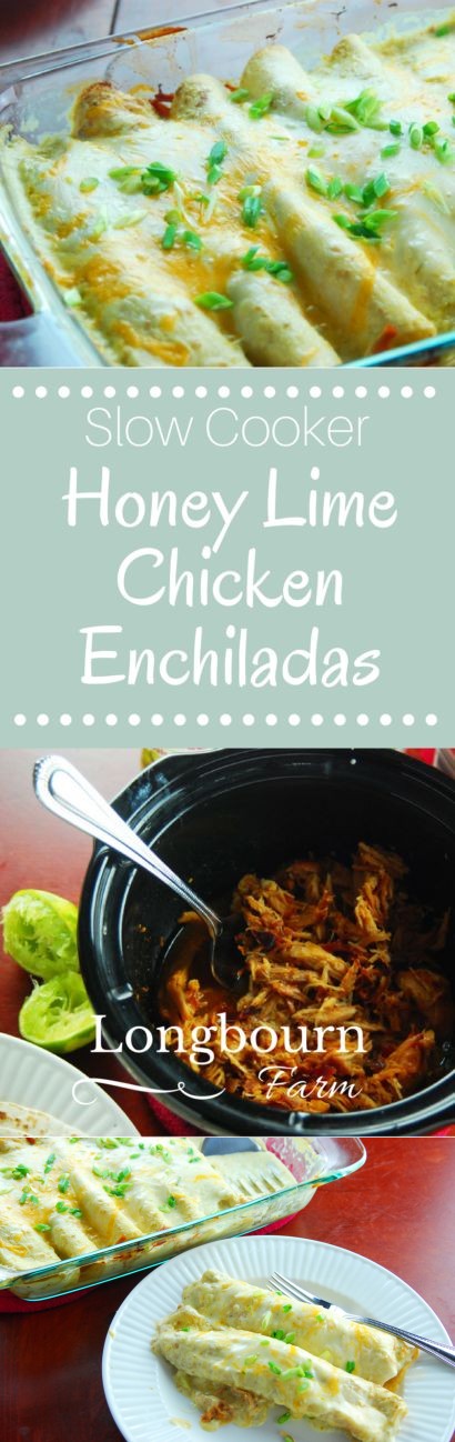 Honey Lime Chicken Enchiladas
