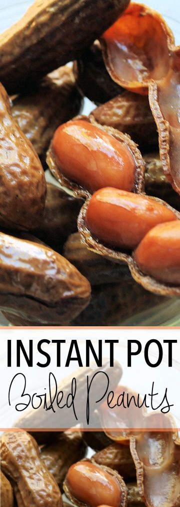 Instant Pot Boiled Peanuts