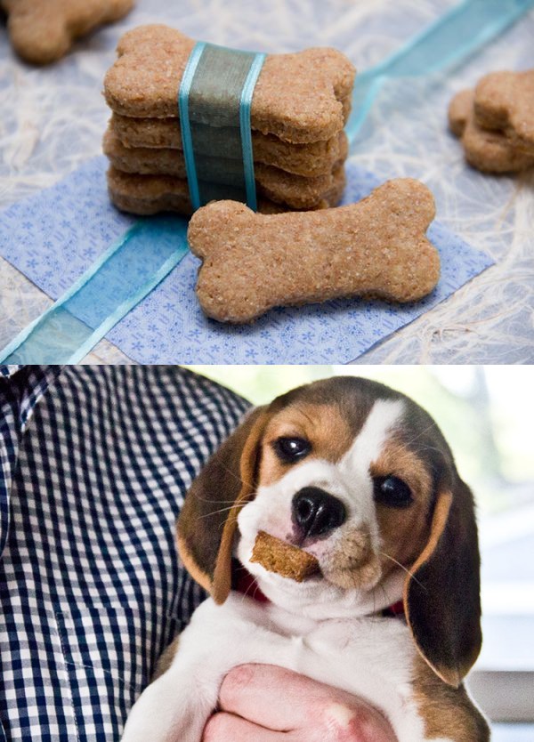 Peanut Butter and Honey Homemade Dog Treats