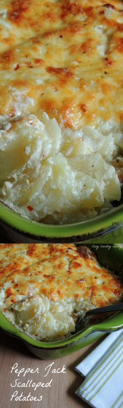 Pepper Jack Scalloped Potatoes