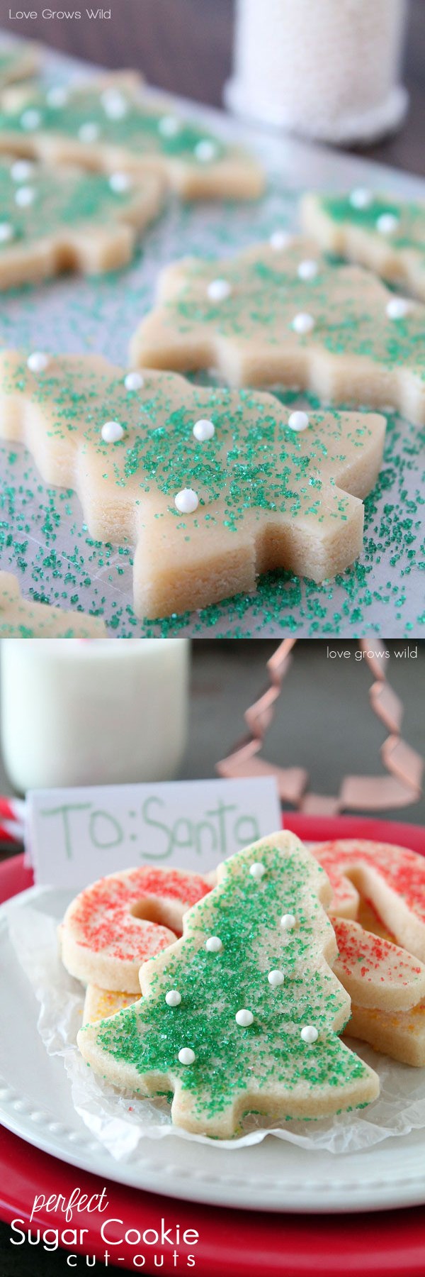 Perfect Sugar Cookie Cut-outs