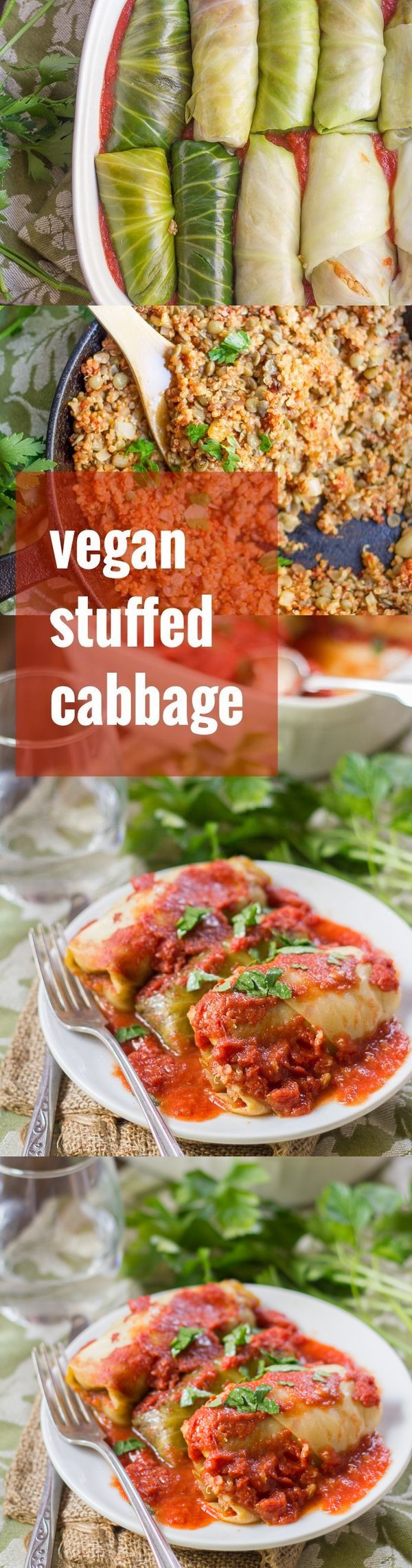 Quinoa & Lentil Stuffed Vegan Cabbage Rolls