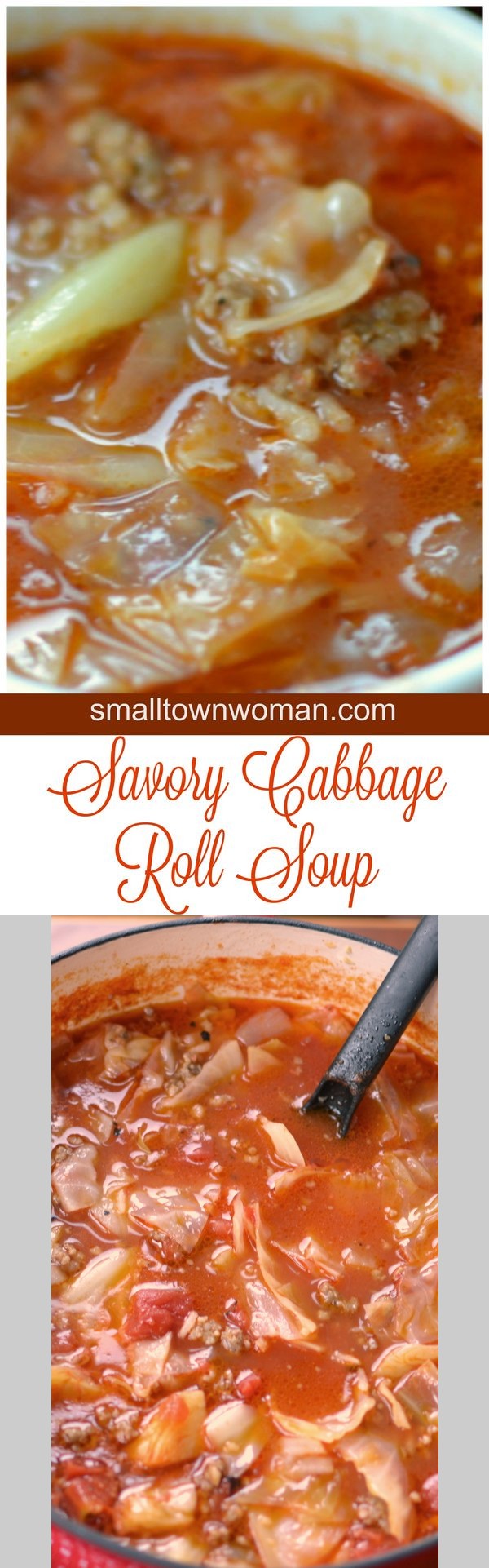 Savory Cabbage Roll Soup