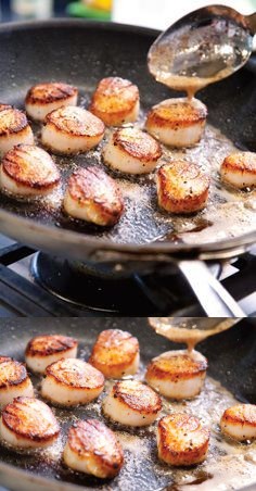 Seared Scallops