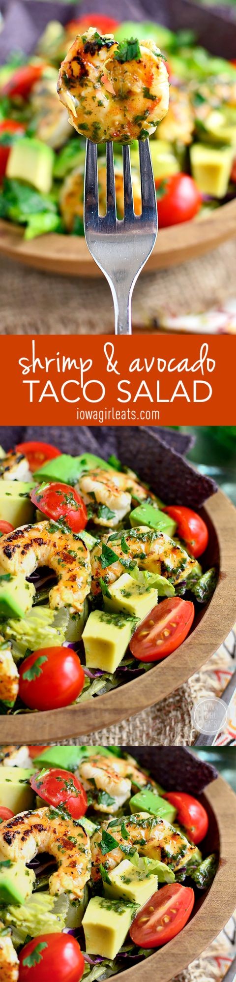 Shrimp and Avocado Taco Salad