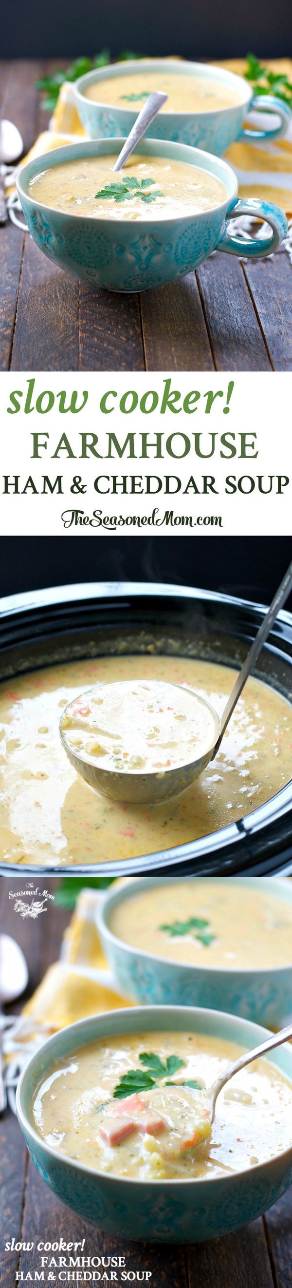 Slow Cooker Farmhouse Ham and Cheddar Soup