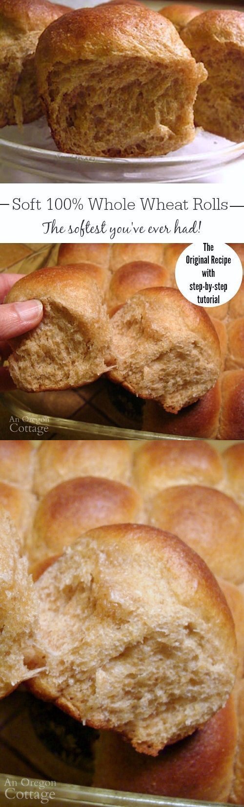 Soft 100% Whole Wheat Dinner Rolls