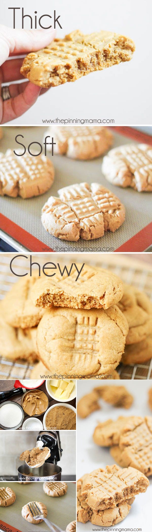 Soft & Chewy Peanut Butter Cookie