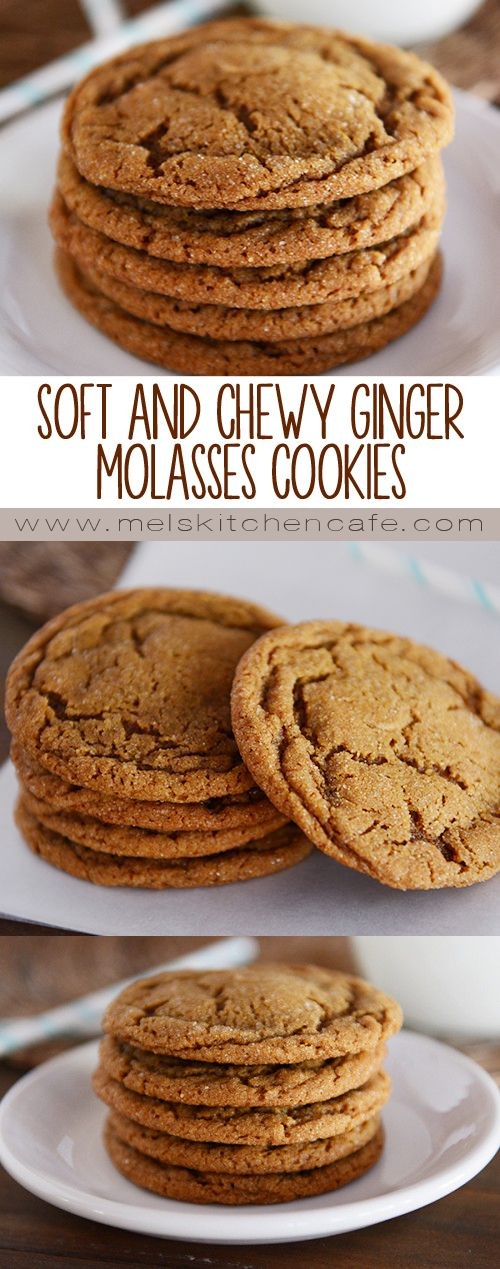 Soft and Chewy Ginger Molasses Cookies