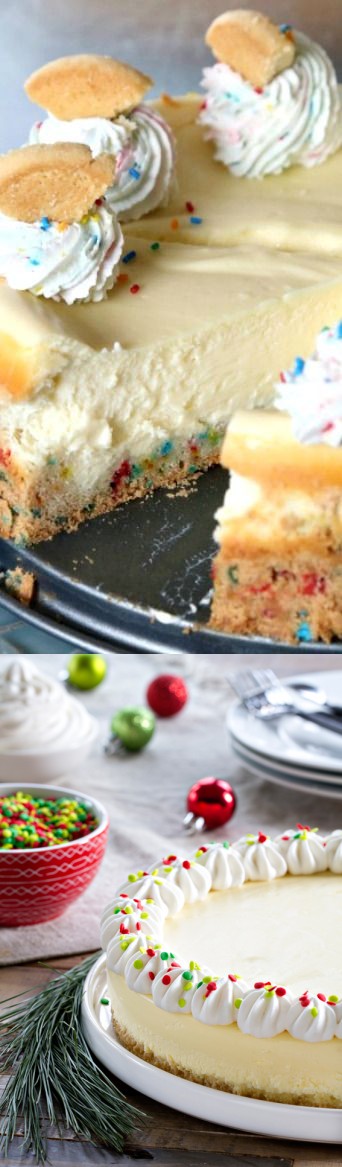 Sugar Cookie Cheesecake