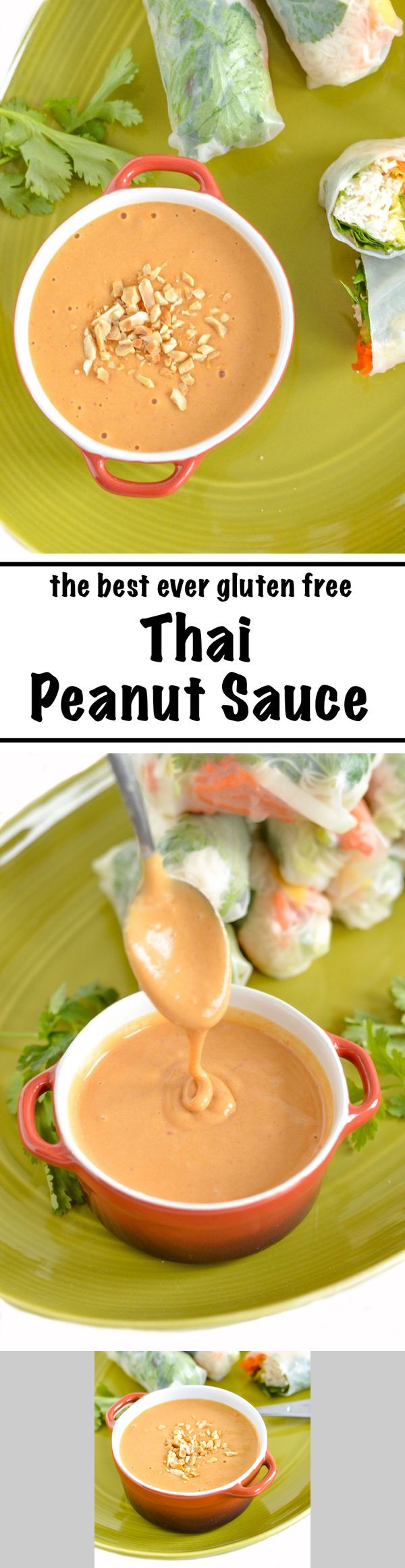 The Best Ever Thai Peanut Dipping Sauce