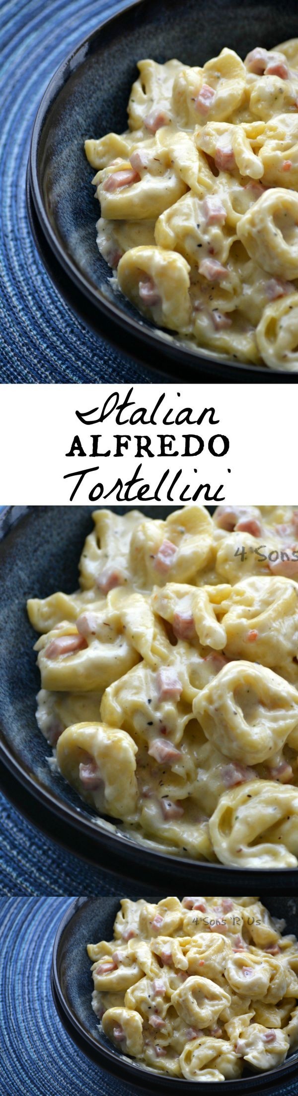 Tortellini Alfredo with Ham