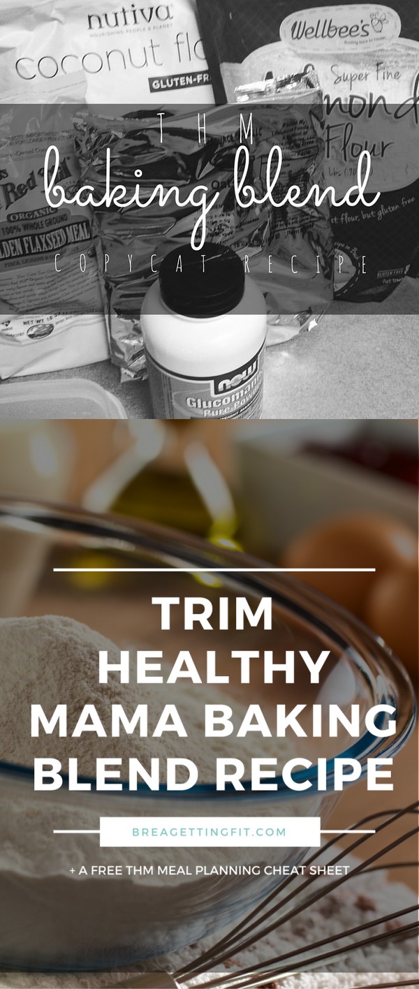 Trim Healthy Mama Baking Blend Copy Cat