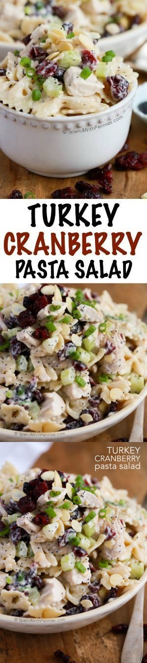 Turkey Cranberry Pasta Salad