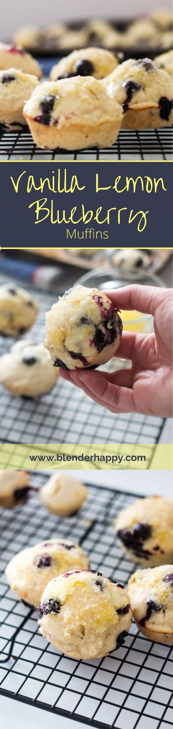 Vanilla Lemon Blueberry Muffins