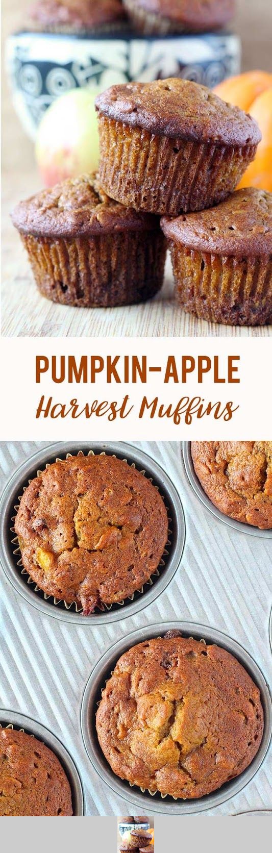 Pumpkin Apple Harvest Muffins